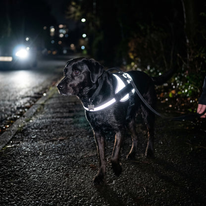 Snuffio SafeWalk Pro — No-Pull & Reflecterend Harnas met Riem