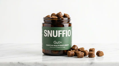 Snuffio Gut+ — Probiotica supplement voor honden & katten